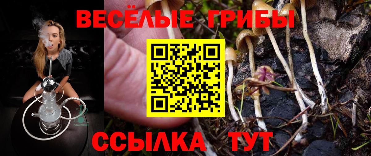 Галлюциногенные грибы мицелий  Вход с VPN  Керчь 